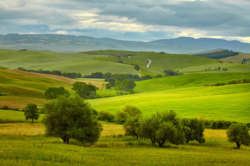 Fototapeta na wymiar The beautiful colors of the spring in Tuscany