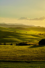Fototapeta premium The beautiful colors of the spring in Tuscany