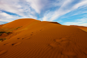 Namibian landscapes