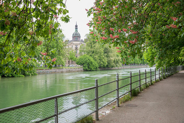 Uferweg unter roten Kastanien an der Isar in München