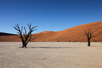 Namibian landscapes