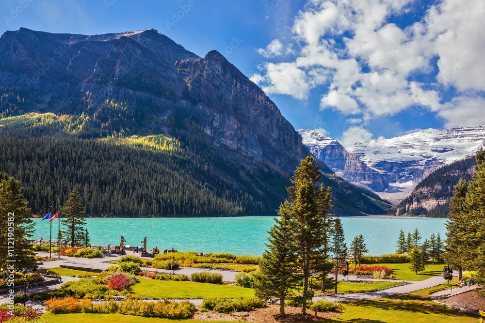 Canvas Prints flowers on the embankment of lake louise.