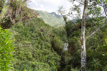 View of park el Nicho in Cienfuegos Province, Cuba