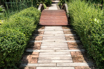 Fototapeta na wymiar Small bridge in garden