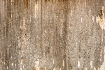 Brown Wood texture