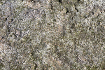 coral texture in afternoon sun in Kuwait
