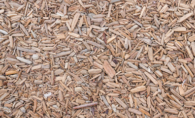 Wood abstract background