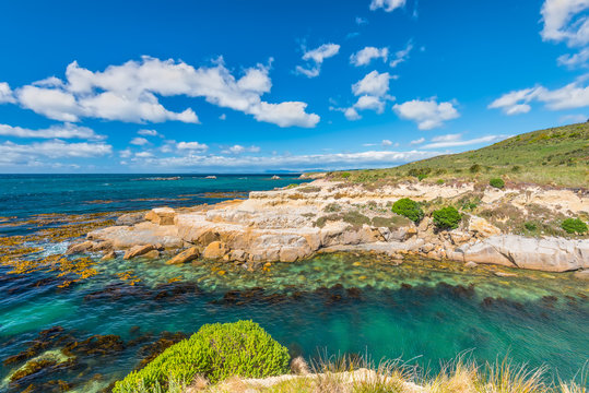New Zealand colorful coast landscape