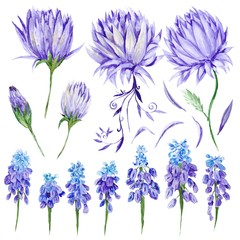 Watercolor Purple Flowers Set