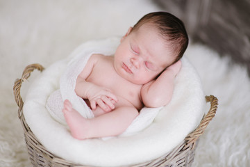 newborn