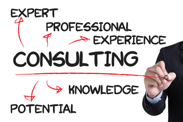 CONSULTING