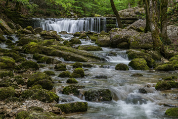 Rivière hérisson