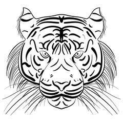 Vector stylized face of ink sketch tiger