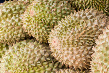 Durian, King of Fruit, for selling in Thailand