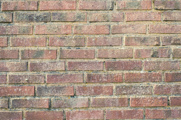 Empty red brick wall background