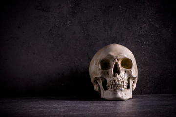 Human skull with dark background. Concept of death, horror and anatomy. Spooky halloween symbol.