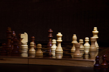 Scacchi fotografati su una scacchiera