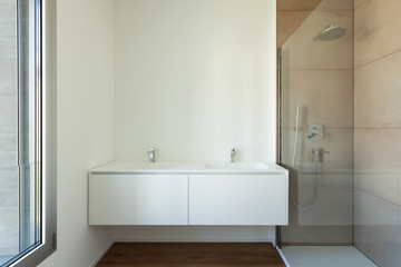 Fototapeta na wymiar bathroom with shower and sinks