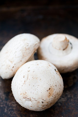 Fototapeta na wymiar Champignon mushrooms