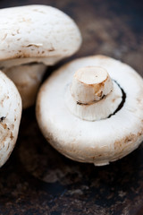 Champignon mushrooms