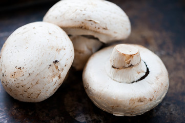 Champignon mushrooms
