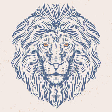Hand Drawn Lion Head Illustration