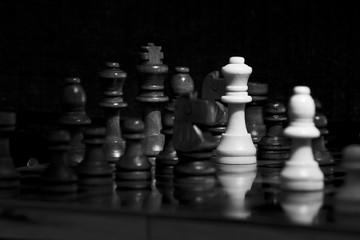 Scacchi fotografati su una scacchiera