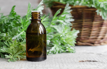 Small bottle of essential wormwood oil (herbal tincture, infusion, oil) 