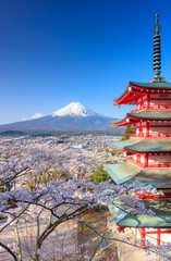 Mt. Fuji with Chureito Pagoda, Fujiyoshida, Japan - obrazy, fototapety, plakaty