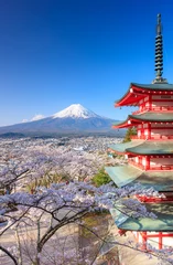 Fotobehang Mount Fuji met Chureito Pagoda, Fujiyoshida, Japan © lkunl