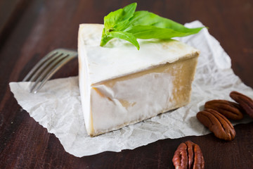 Piece of cheese with white mold