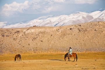Shepherd on a horse and foal in the mountains of Tien Shan