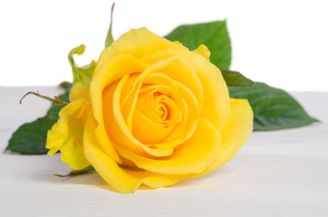 Naklejka premium beautiful yellow rose isolated on white wooden table