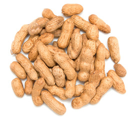 peanut in a peel isolated on white background