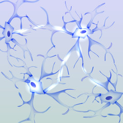 Neuron, nerve cell - Vector Illustration