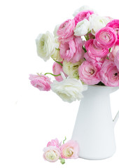 Pink and white ranunculus flowers