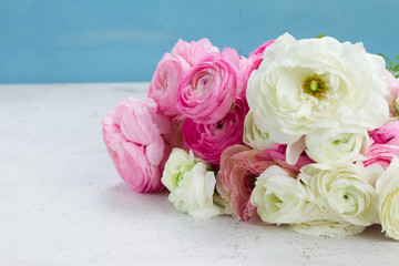 Pink and white ranunculus flowers