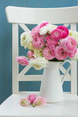 Pink and white ranunculus flowers