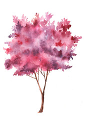 Дерево розовой акварелью на изолированном белом фоне