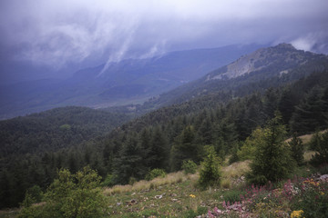 Sicilian Spring Hills Landscape