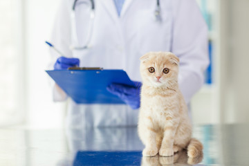 close up of vet with clipboard and cat at clinic
