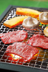 焼肉　Japanese barbecue