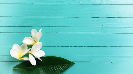 Foto op Canvas Witte tropische plumeriabloemen © daffodilred