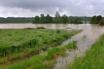 inondation in a field