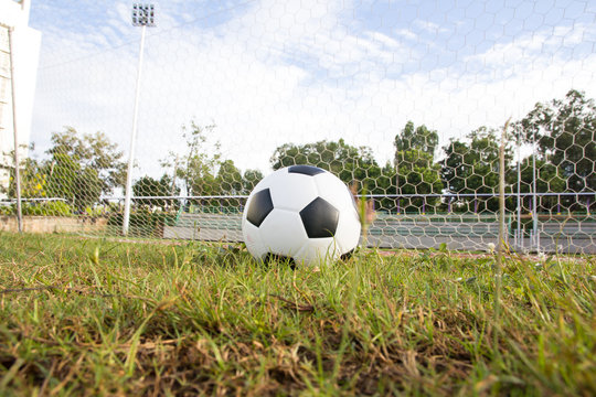 Close up soccer ball on field