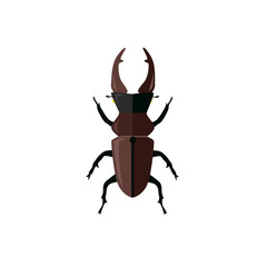 Big Beetle Deer with Horns