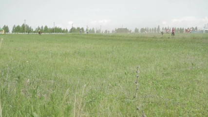 Horse races during the national holiday