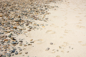 Fototapeta na wymiar pebble stone on the sea sand desert , texture backdrop
