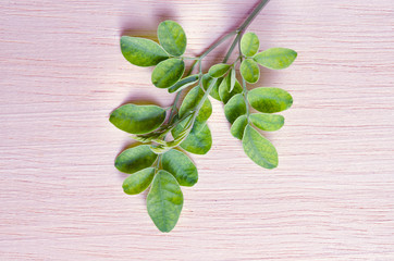 Moringa leaf on wooden board background