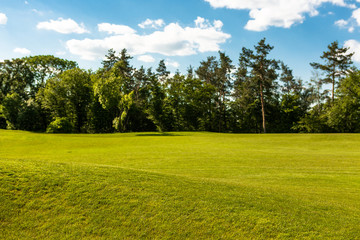 Picture of nice nature and environment. Landscape of beautiful trees and green grass field with blue sky and while clouds in parklane.